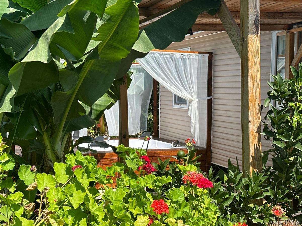 Kiris Garden Hotel Кемер Екстериор снимка